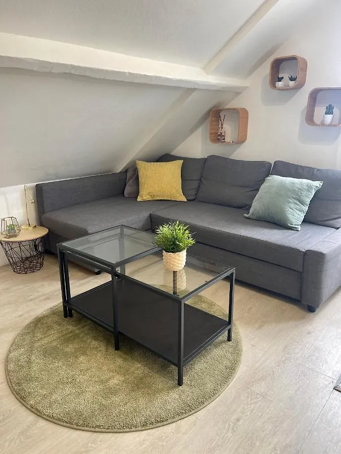 Le Cocon Urbain Apartment Rennes